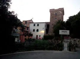 Anzo