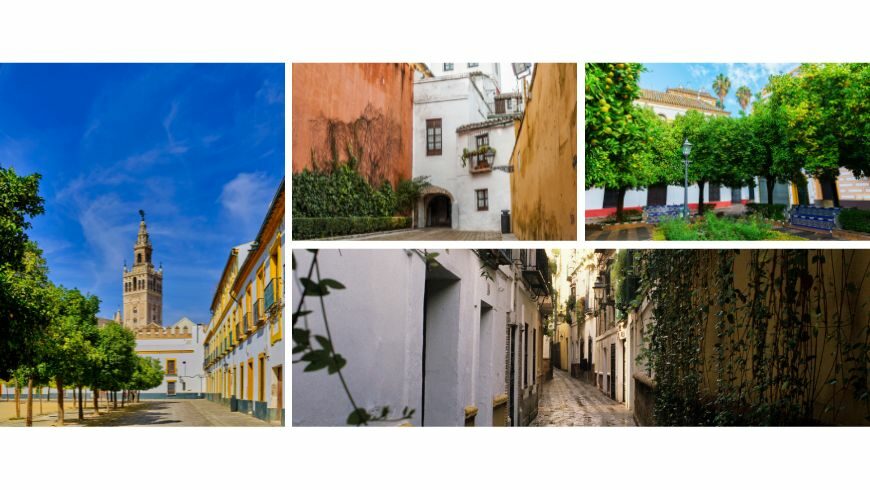 Barrio Santa Cruz