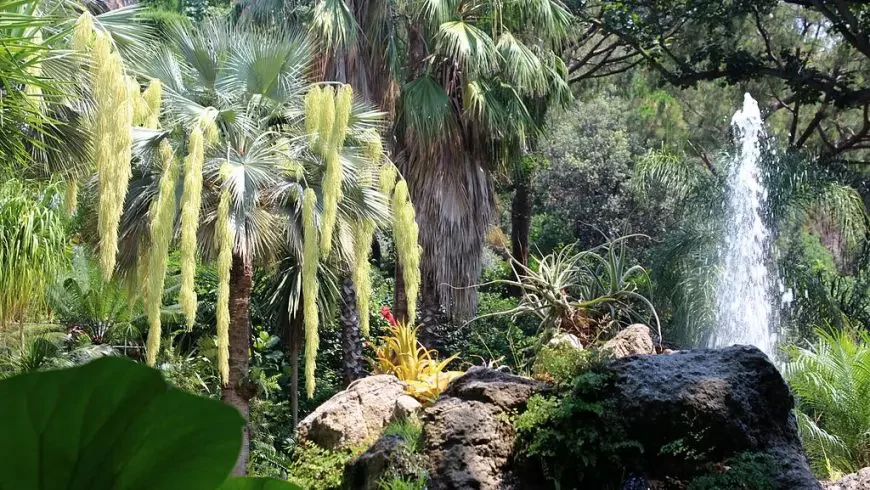 Jardines La Mortella en Forio d'Ischia