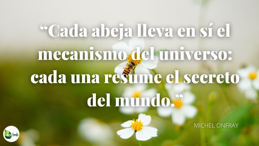 Cada abeja lleva en sí el mecanismo del universo: cada una resume el secreto del mundo.
(Michel Onfray)
