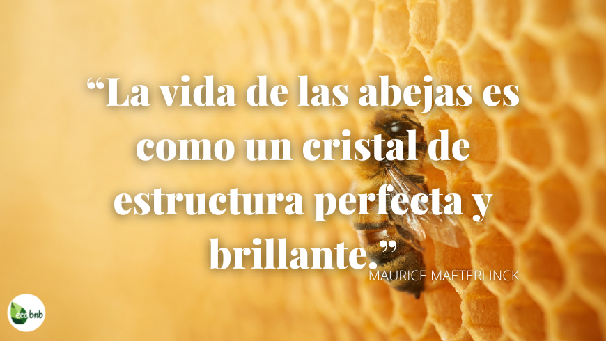 La vida de las abejas es como un cristal de estructura perfecta y brillante.