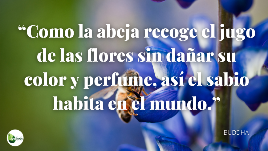 Como la abeja recoge el jugo de las flores sin dañar su color y perfume, así el sabio habita en el mundo.