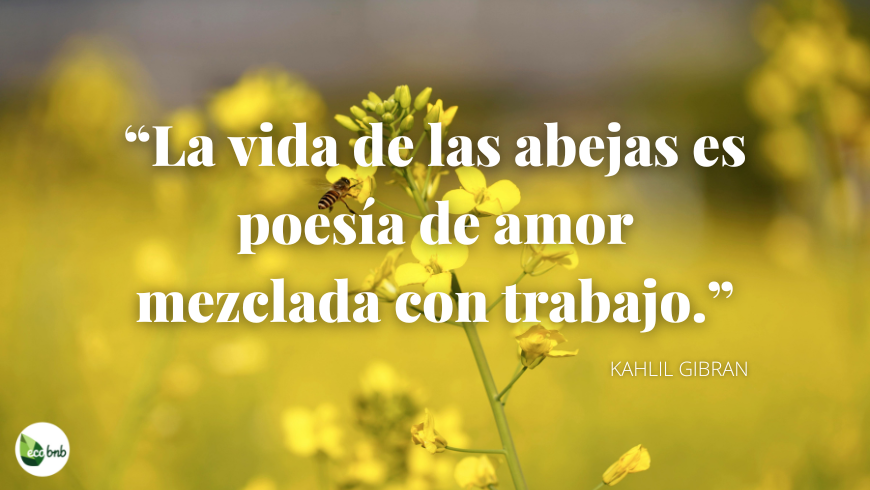 La vida de las abejas es como un cristal de estructura perfecta y brillante.