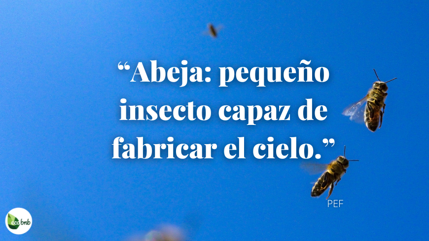 Abeja: pequeño insecto capaz de fabricar el cielo.