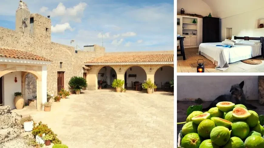Hoteles sostenibles en Apulia cerca del mar: B&B Masseria Uccio Apulia