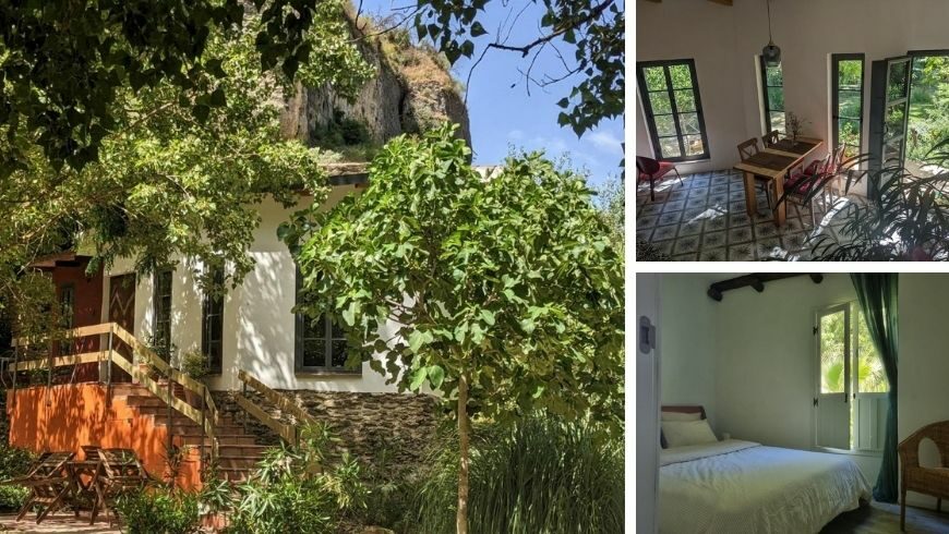La Molina - Setenil de las Bodegas