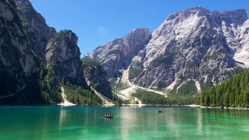 Bosques más hermosos del mundo: Bosque de los Dolomitas