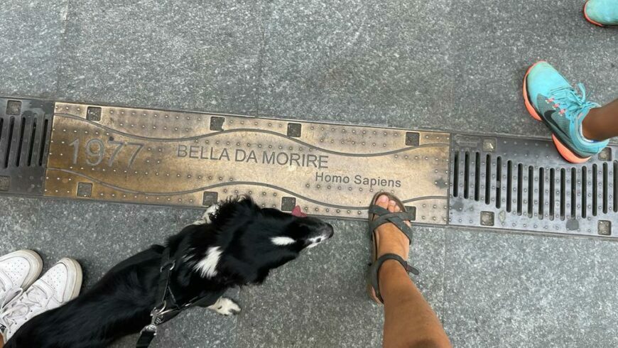 Placa de latón en el pavimento de la Via Matteotti.