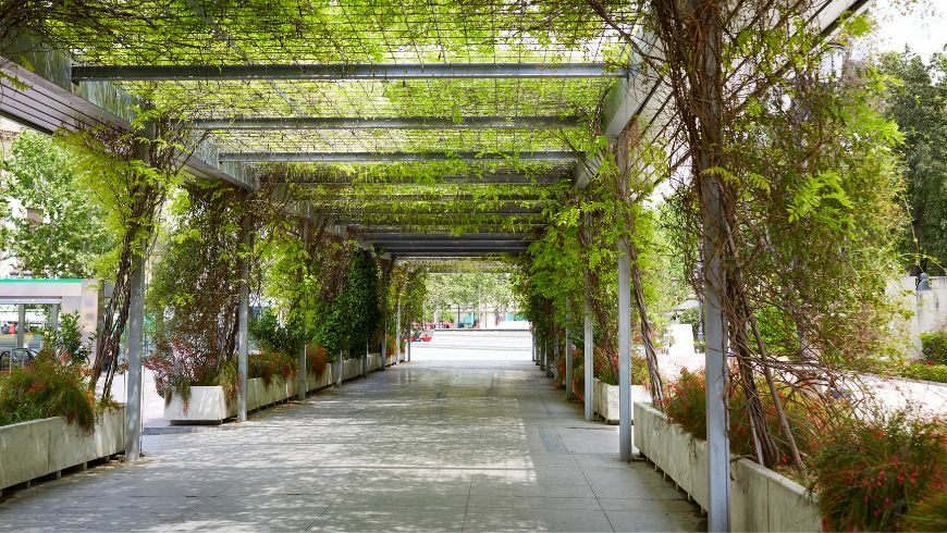 Jardines de Cristina Sevilla