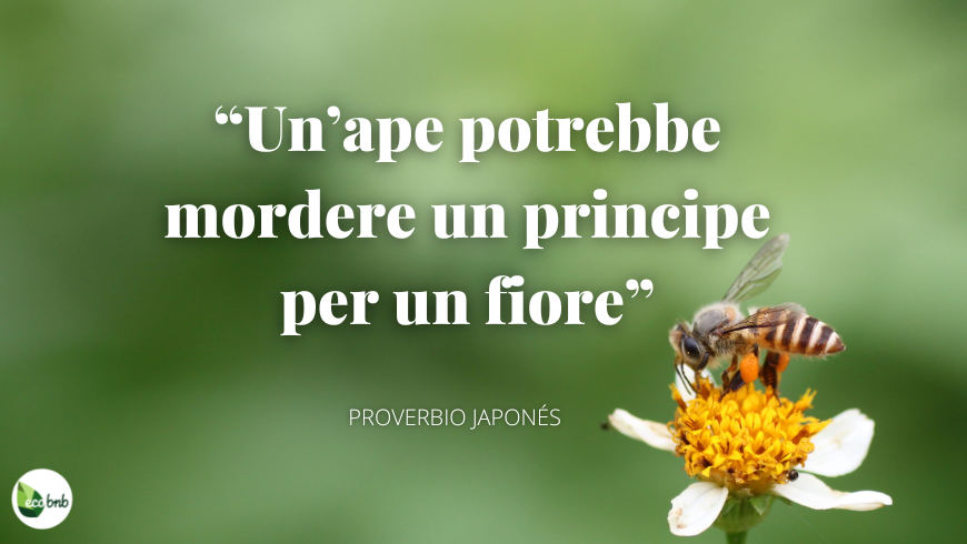 Proverbio japonés