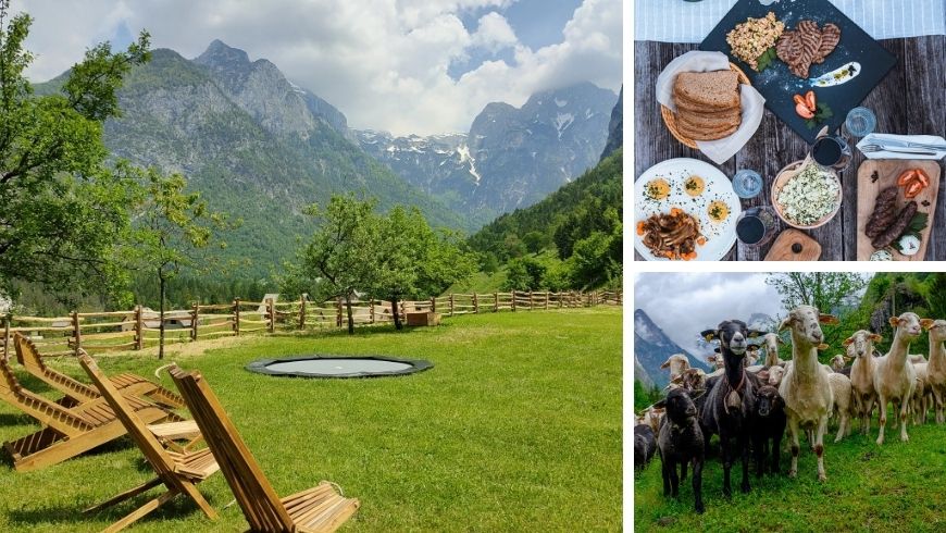 Organic Vacation Farm Pri Plajerju es una granja ecológica que permite a los niños vivir en contacto con los animales