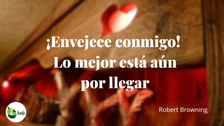 Cita sobre Amor y Viaje. Un corazón tallado en la madera acompaña la frase: “¡Envejece conmigo! Lo mejor aún está por venir.” La imagen evoca la belleza del paso del tiempo, símbolo de un amor que crece, se fortalece y continúa su viaje temporada tras temporada.