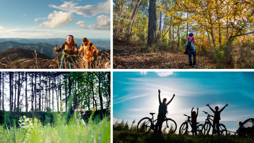 personas que caminan por el bosque y quienes van en bicicleta