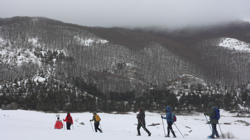 grupo de personas que caminan con raquetas de nieve