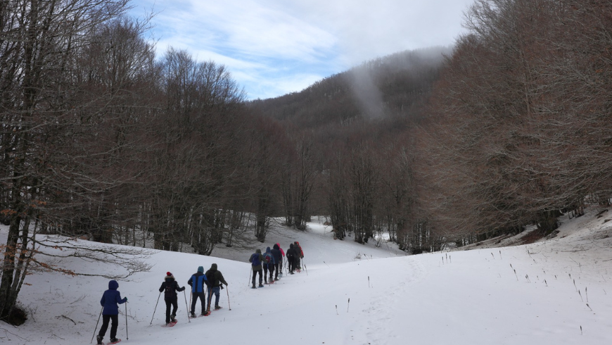 grupo de personas que practican senderismo con raquetas de nieve