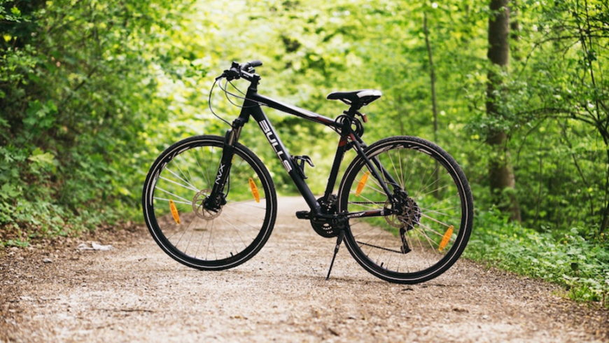 Lorsque vous organisez un voyage de motivation durable, considérez des endroits où vous pouvez faire du vélo