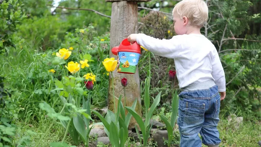 petit enfant qui arrose des fleurs jaunes et rouges dans le jardin