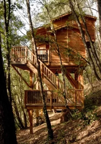 cabane en bois de cèdre orion treehouses