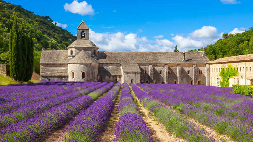 abbaye de Sénanque dans le parc naturel régional du luberon