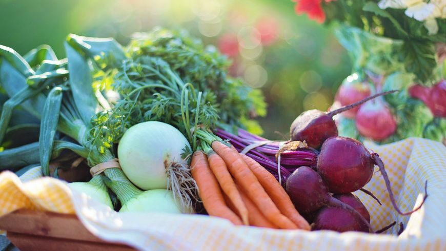 manger légumes pour réduire l'impact environnemental de l'alimentation