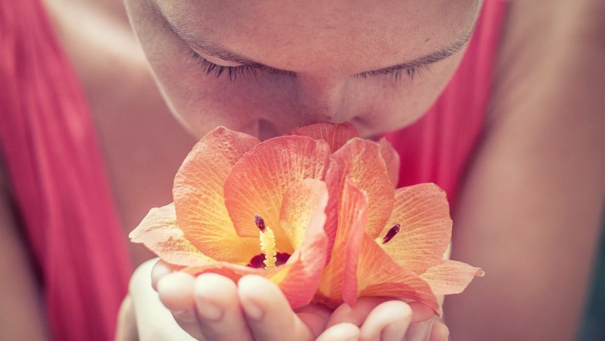 Une femme avec une plante 