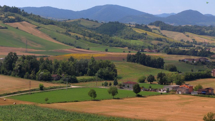 Les collines 