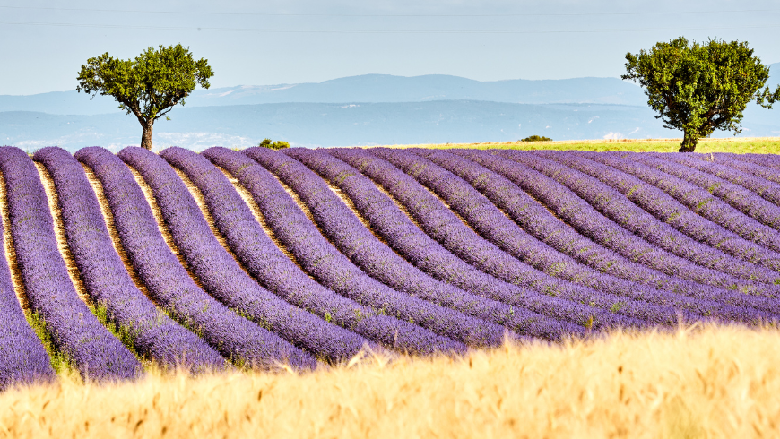 provence parcs naturels