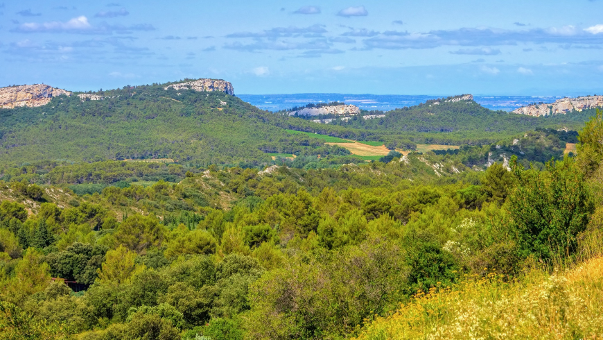 végétation des parcs naturels de provence