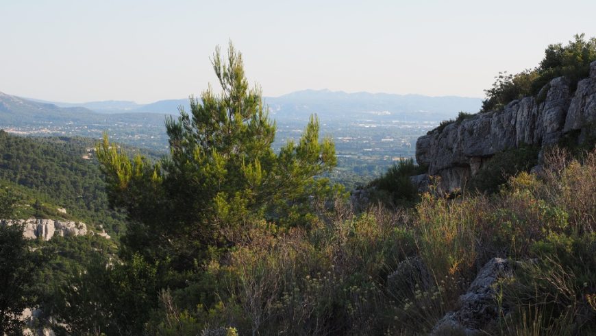 Parc naturel en France, exemple de tourisme durable et de préservation de la biodiversité