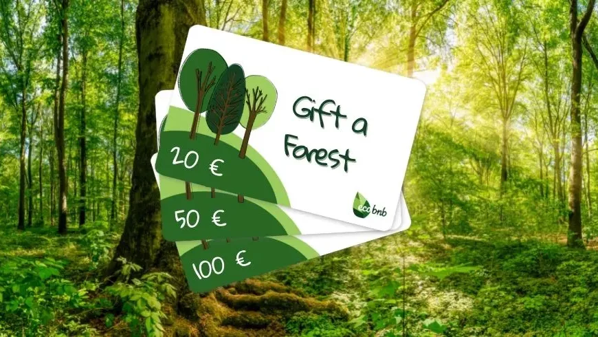 Image de la carte cadeau Ecobnb forêt séculaire et en arrière-plan photo d'un bois.