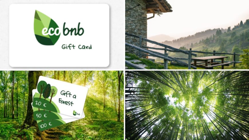 À gauche en haut image de la carte cadeau Ecobnb et en bas de la carte cadeau forêt séculaire. À droite en haut photo d'une maison en pierre dans la nature et en bas photo d'un bois.