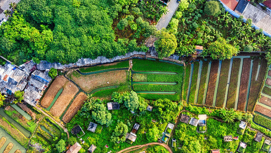 Vue aérienne de champs et de jardins, nichés dans un paysage verdoyant et luxuriant.