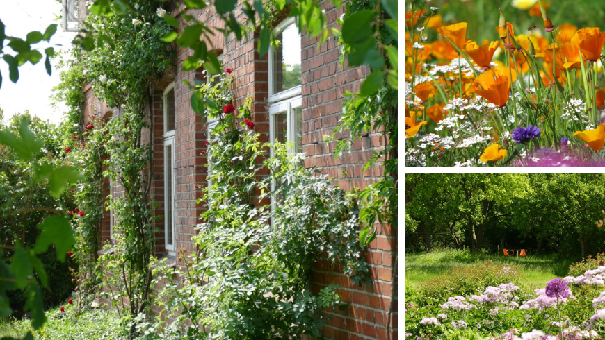 Composition montrant la façade d'une ferme biologique en Allemagne (Der Schwalbenhof) entourée de fleurs sauvages colorées, invitant à l'immersion sensorielle.