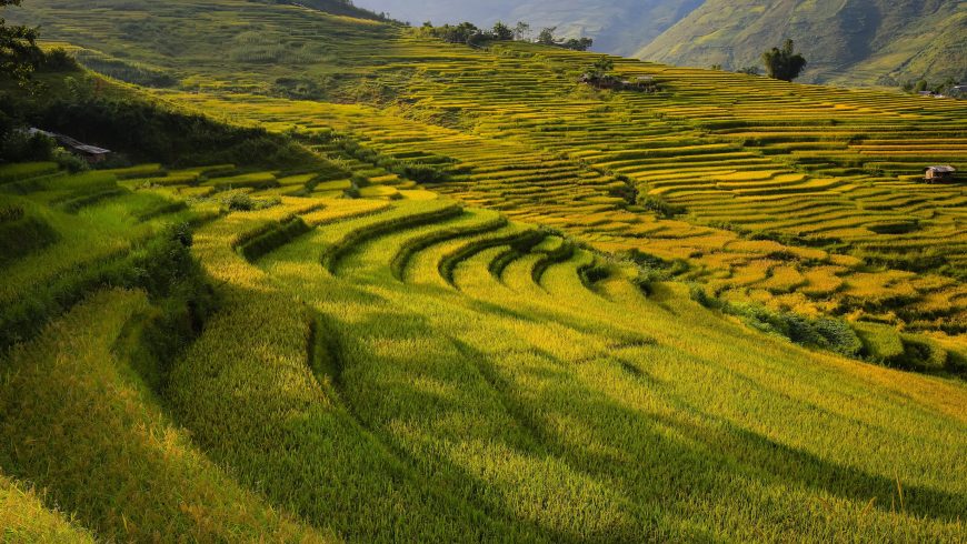 Explore, see the scenery across Vietnam, experience the culture of each region