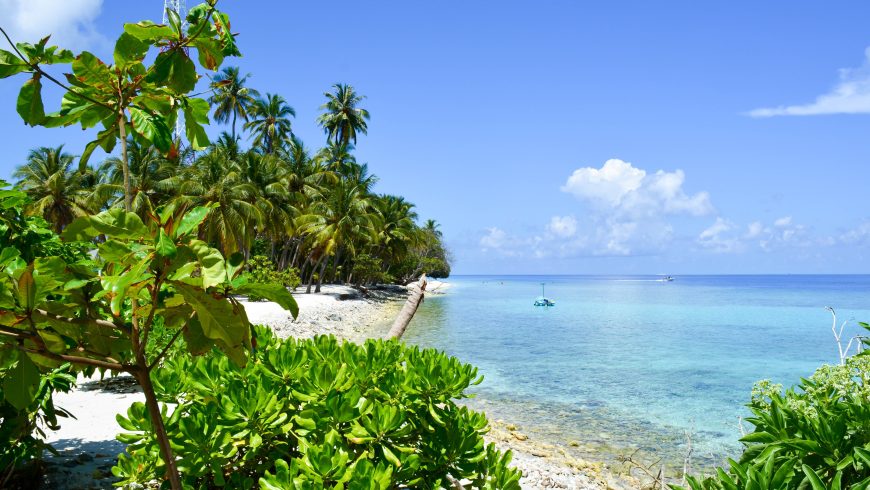 Parc national de Phong Nha-Kẻ Bàng