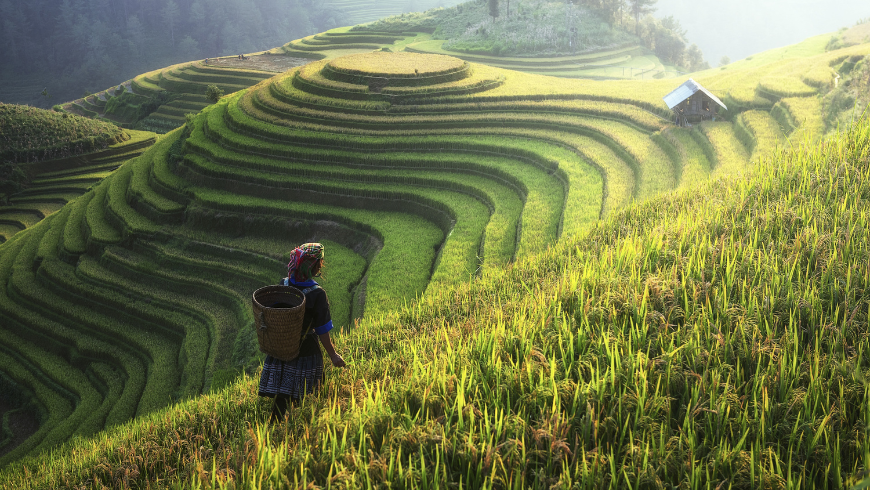 Vietnam, parcs nationaux