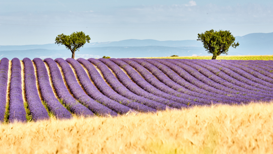 Les paysages de Provence à explorer lentement grâce à un tourisme durable.